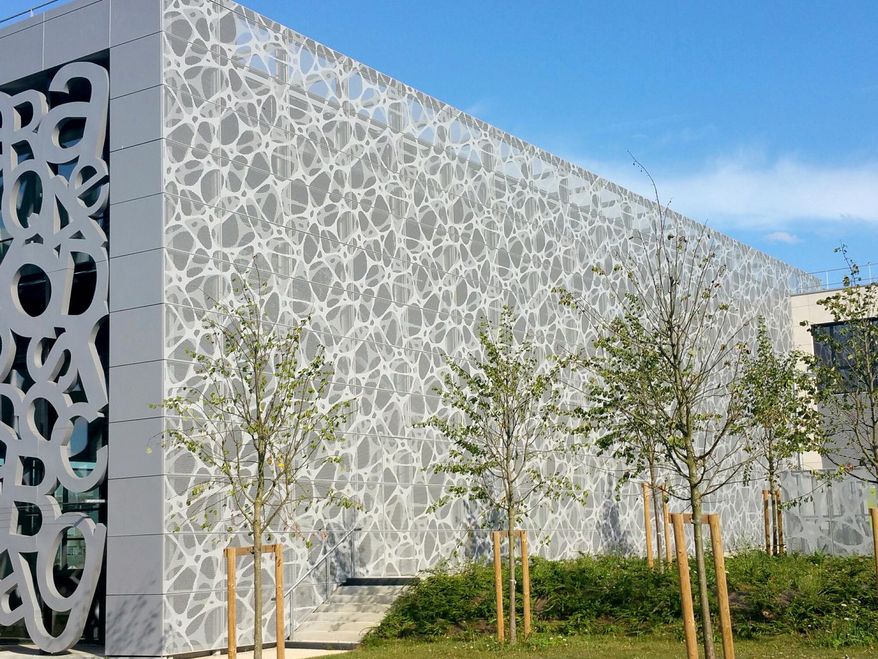 20160912_170006_resized